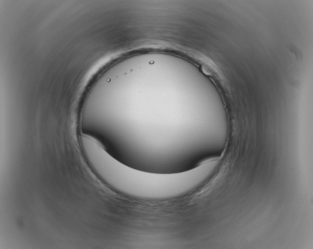 X0000113751326200910141018