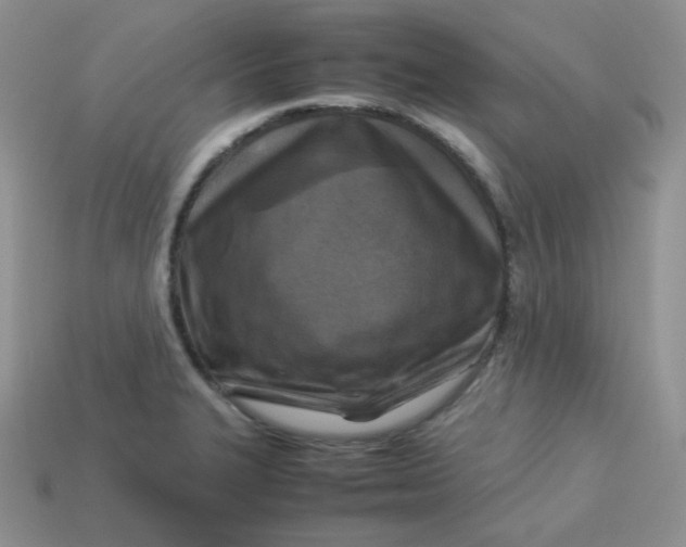 X0000113751327200910141018