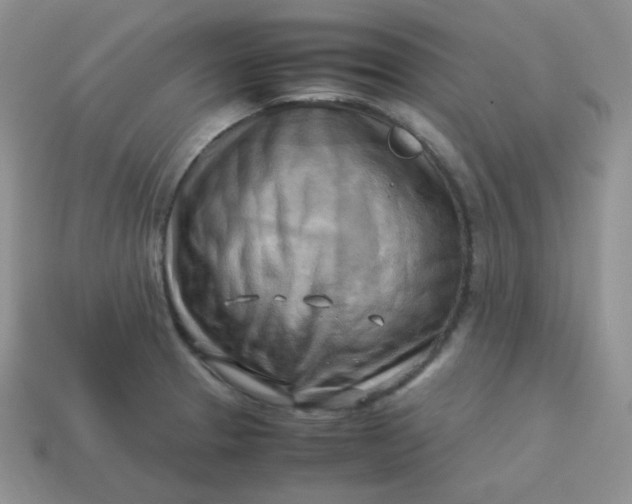 X0000113751329200910141018