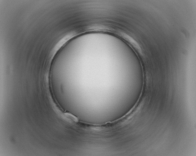 X0000113751330200910141018