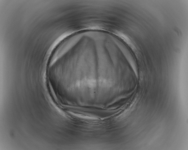 X0000113751331200910141018