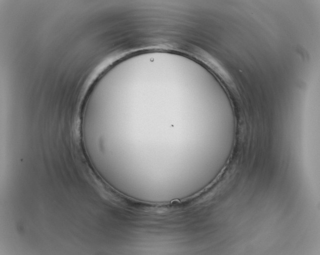 X0000113751332200910141018