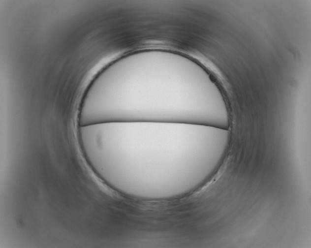 X0000113751333200910141018