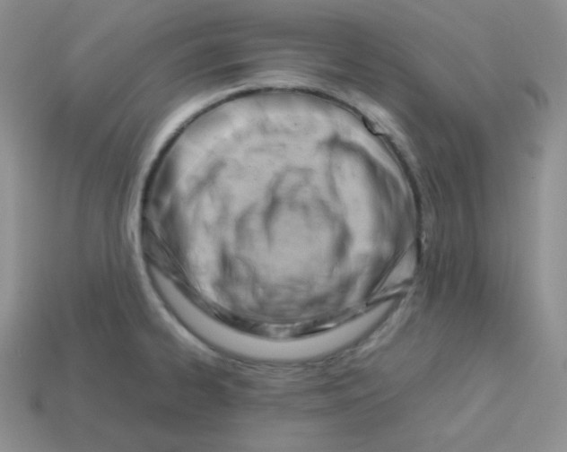 X0000113751334200910141018