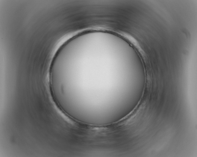 X0000113751335200910141018