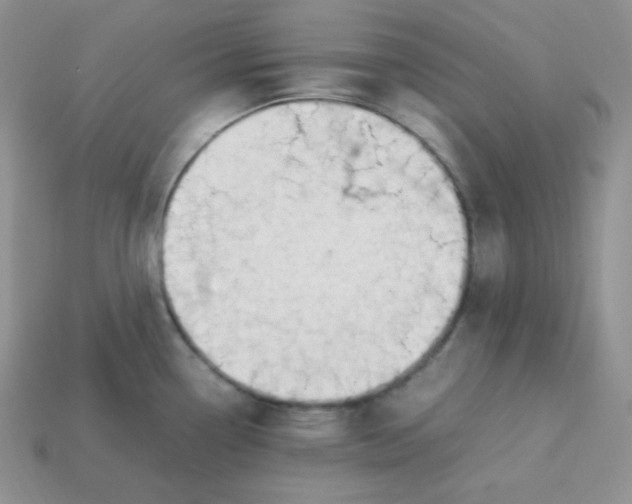 X0000113751338200910141018