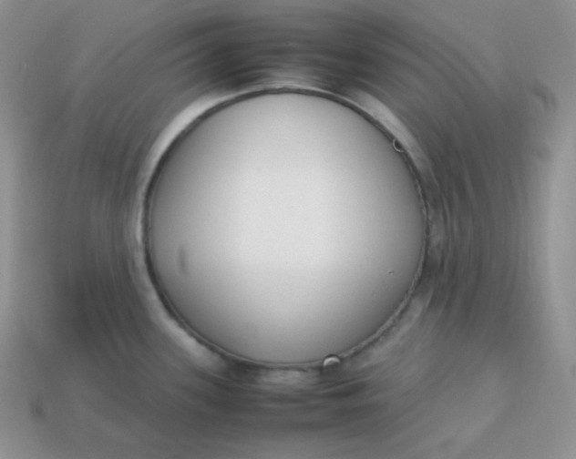 X0000113751339200910141018