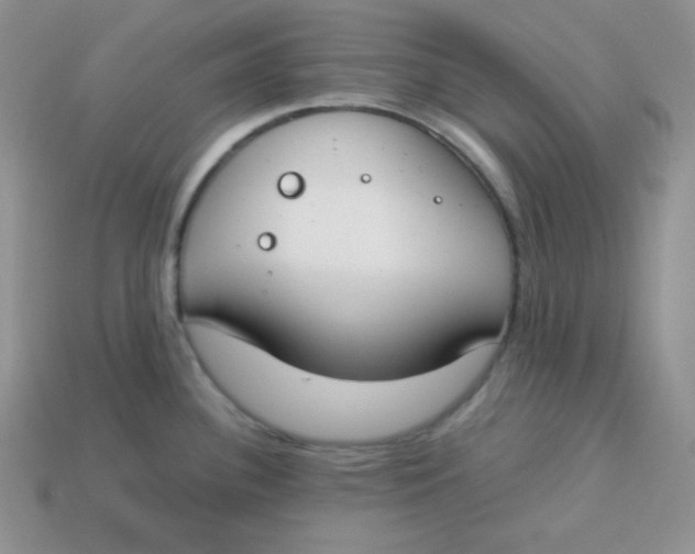 X0000113751340200910141018