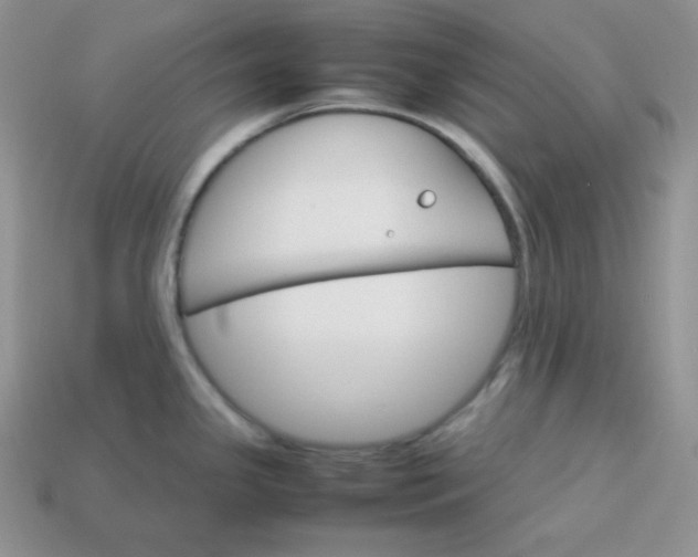 X0000113751341200910141018