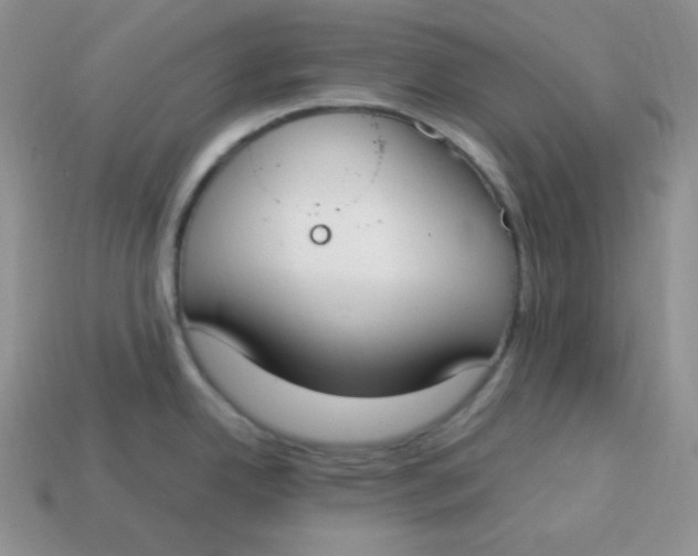 X0000113751342200910141018