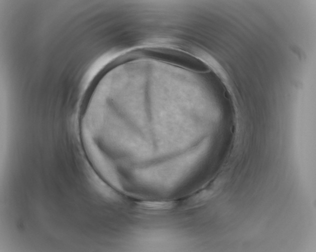 X0000113751344200910141018