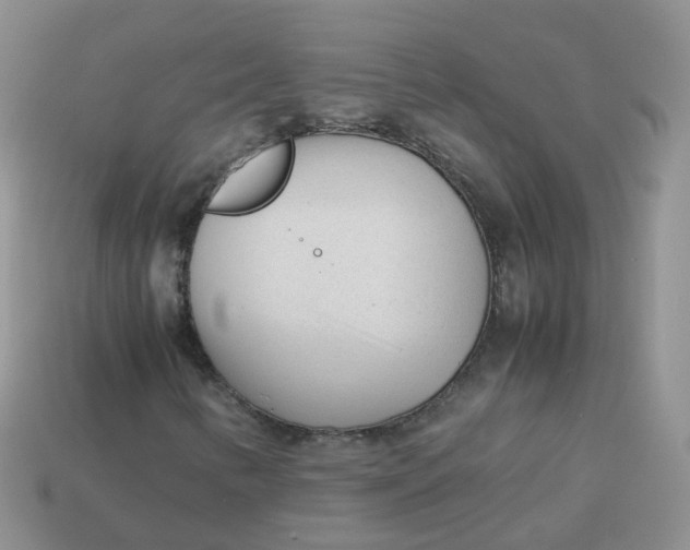 X0000113751346200910141017