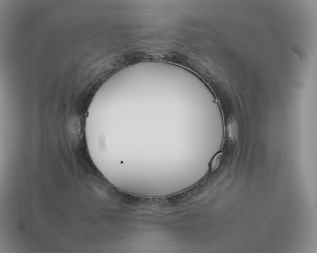 X0000113751347200910141017