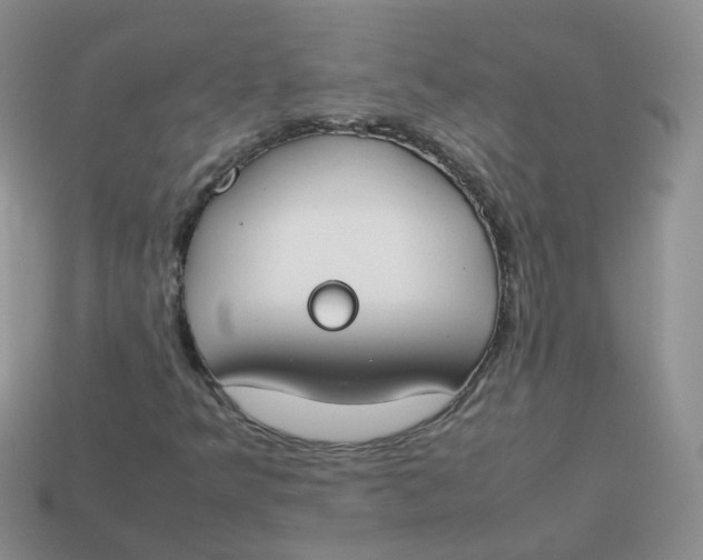 X0000113751349200910141017