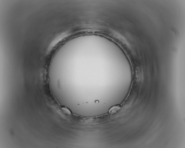 X0000113751352200910141017