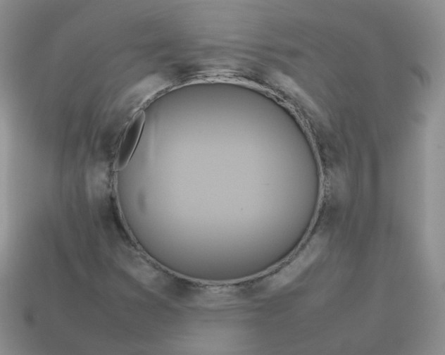 X0000113751353200910141017