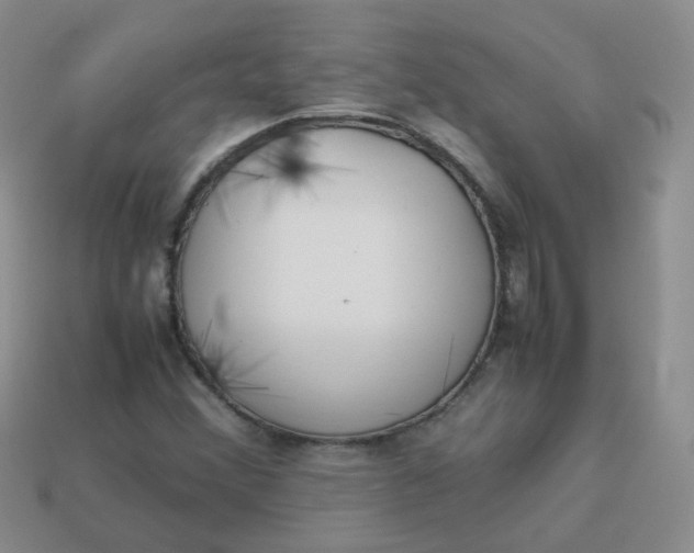 X0000113751356200910141017