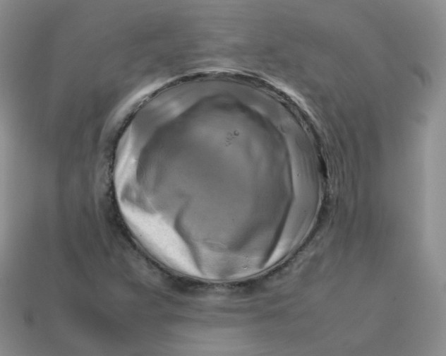 X0000113751359200910141017