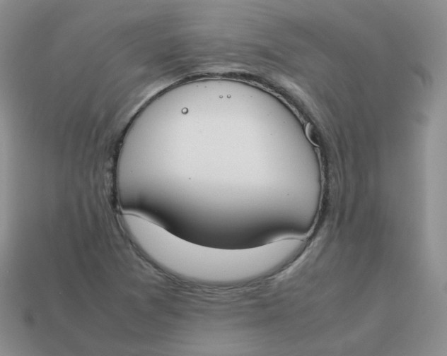 X0000113751361200910141017