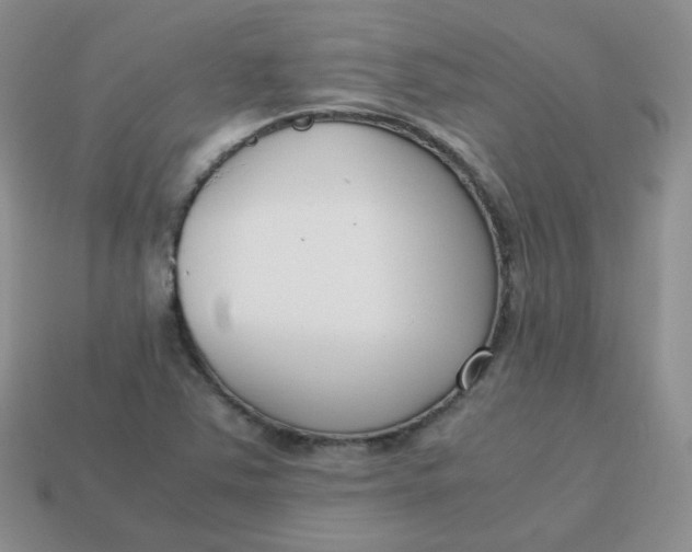 X0000113751363200910141017