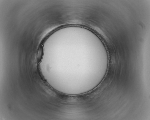 X0000113751364200910141017