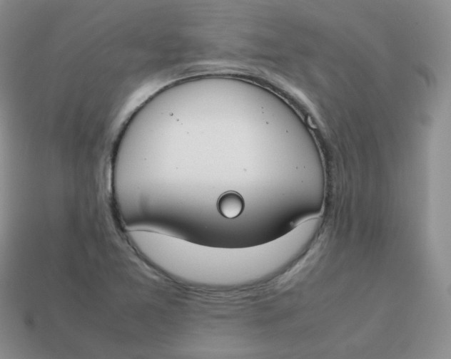 X0000113751365200910141017