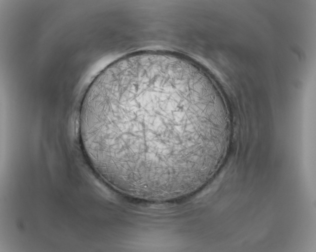 X0000113751367200910141017