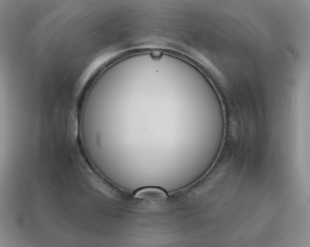 X0000113751368200910141017