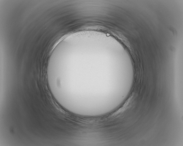 X0000113751369200910141017