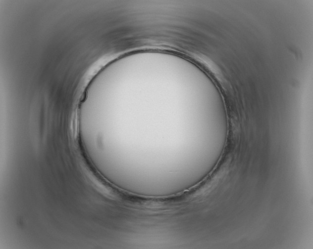 X0000113751371200910141017