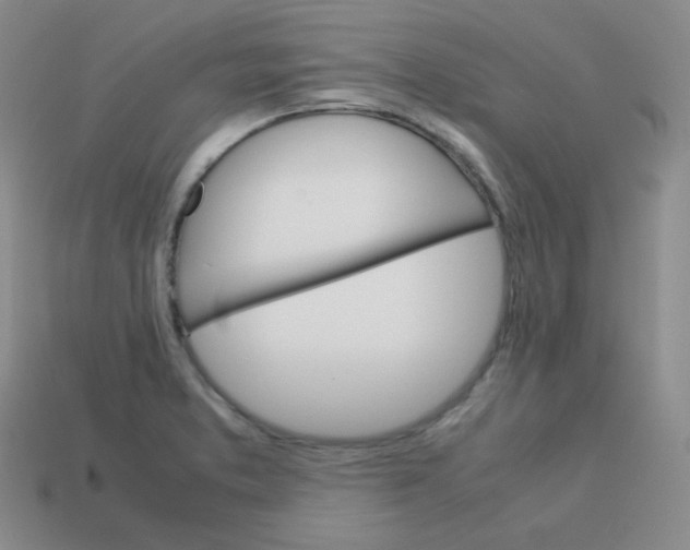 X0000113751373200910141017