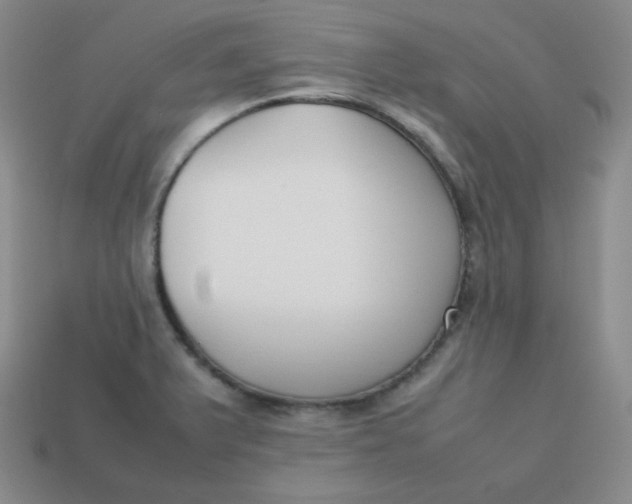 X0000113751375200910141017