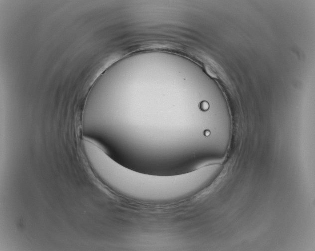 X0000113751377200910141017