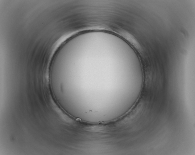 X0000113751380200910141017