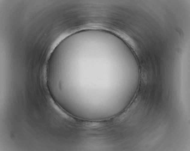 X0000113751382200910141017