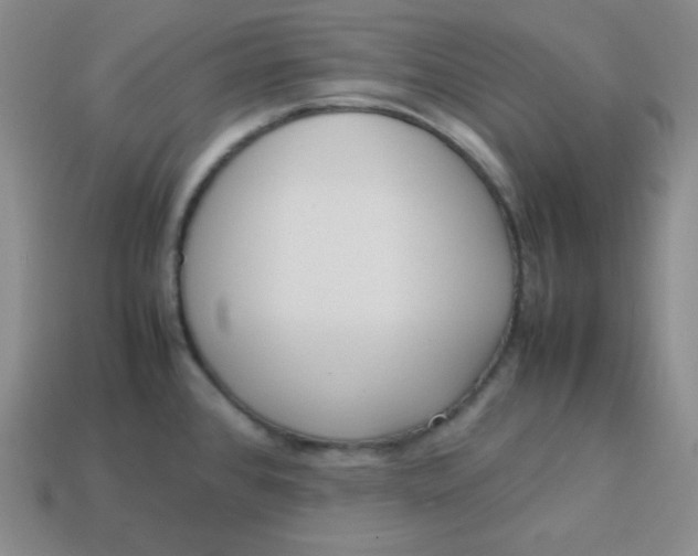 X0000113751384200910141017