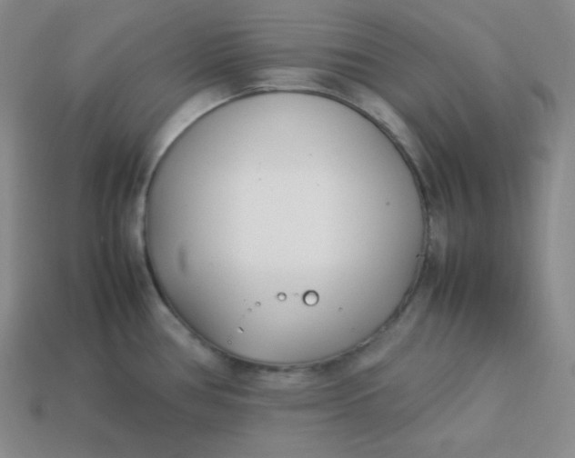 X0000113751386200910141017