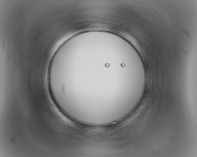 X0000113751387200910141017