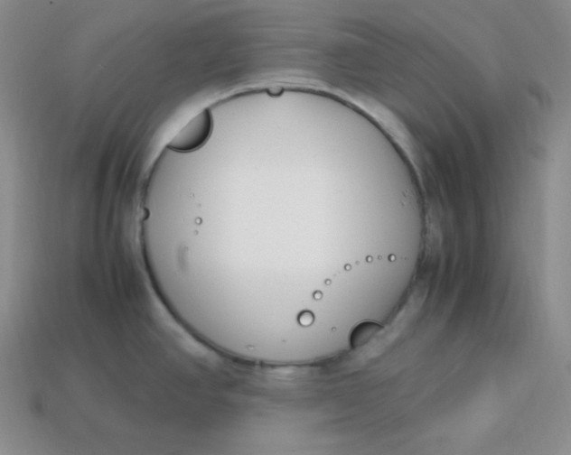 X0000113751390200910141017