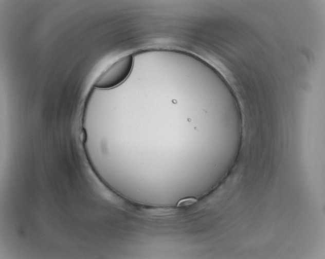 X0000113751392200910141017