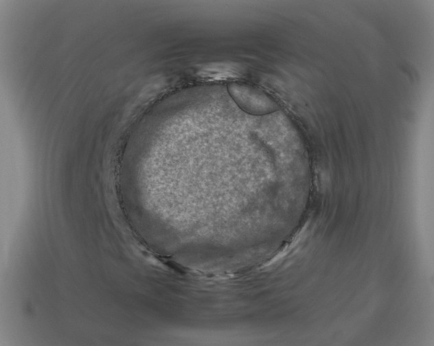 X0000113751393200910141016