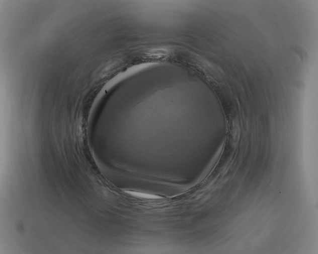 X0000113751394200910141016