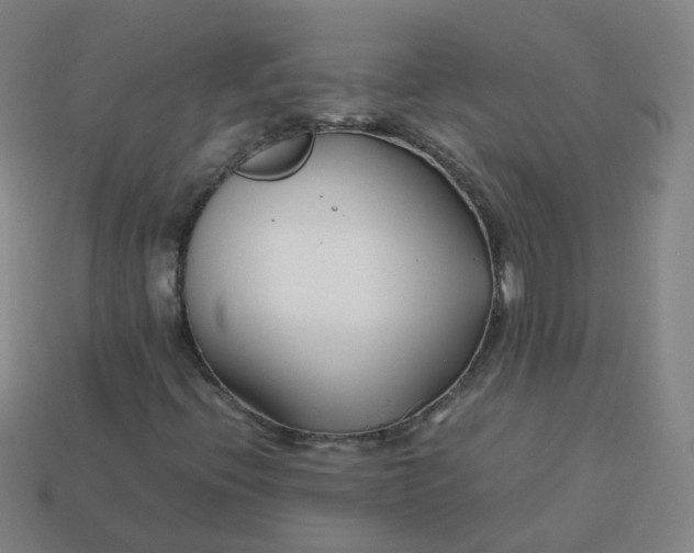 X0000113751396200910141016