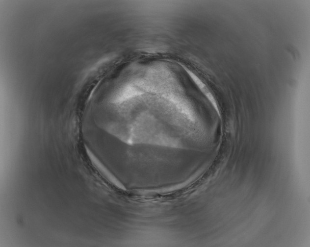 X0000113751398200910141016