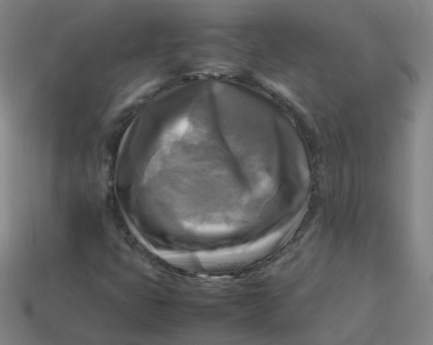 X0000113751399200910141016