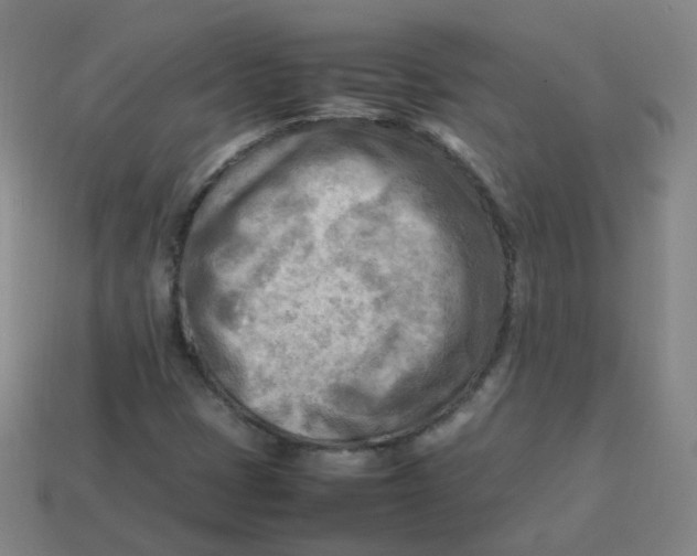 X0000113751401200910141016