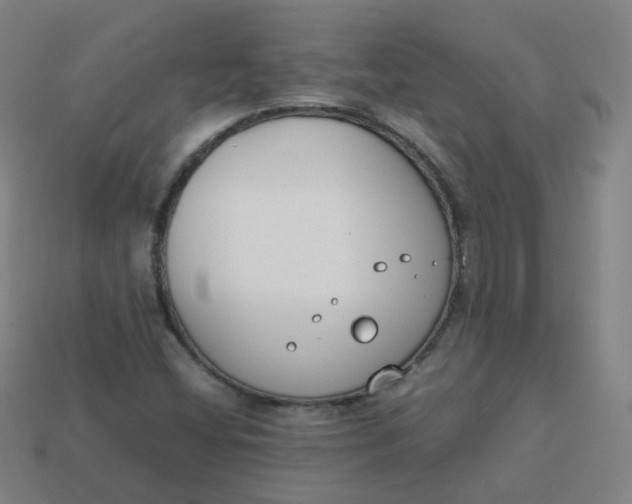 X0000113751404200910141016