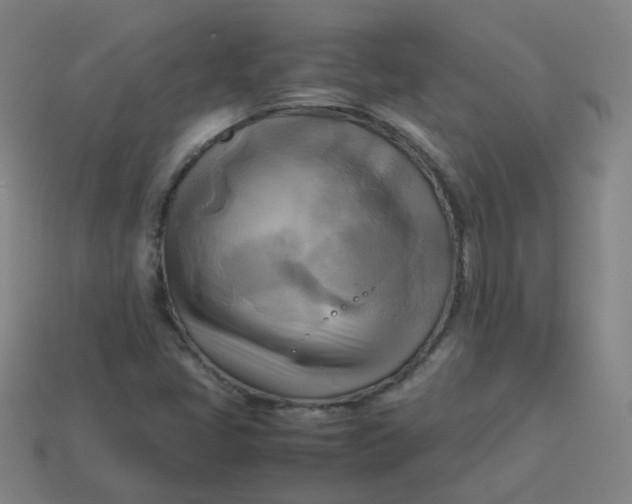 X0000113751405200910141016