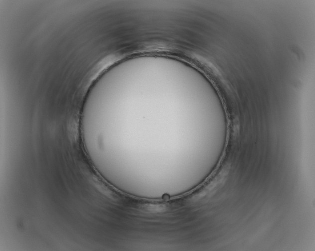 X0000113751409200910141016