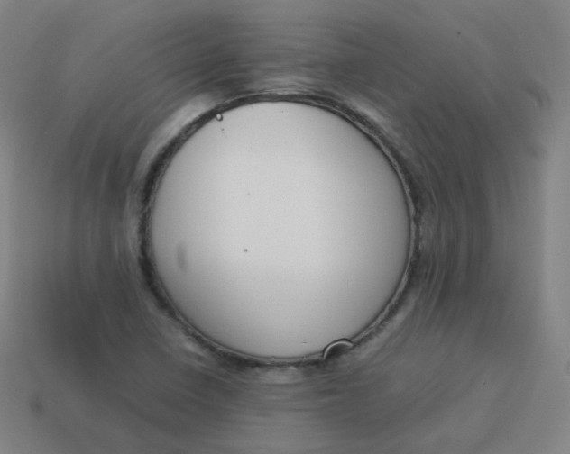 X0000113751410200910141016